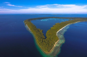 Sensasi Seru Berenang Bersama Ubur-ubur di Pulau Kakaban