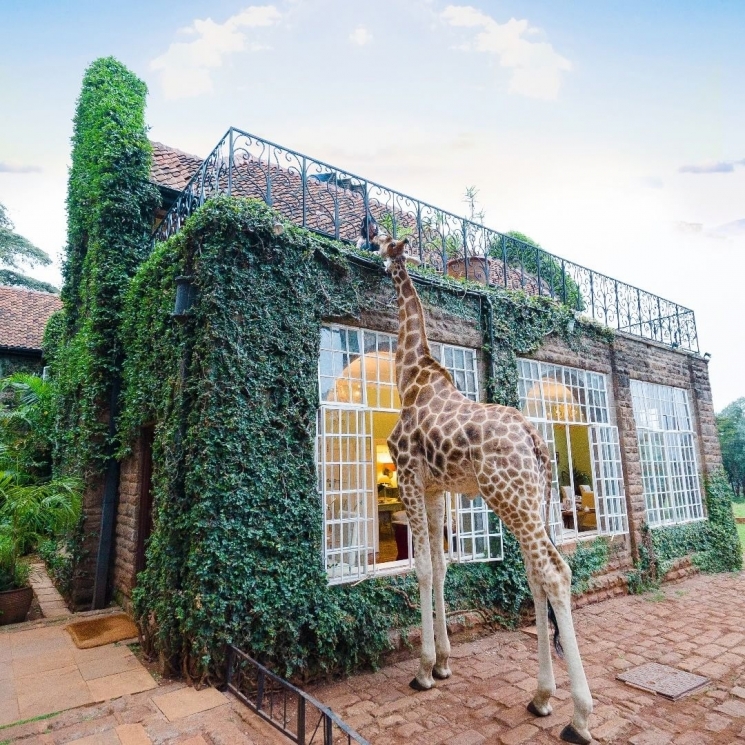 The Girrafe Manor Hotel, Kenya/Instagram @tix_travel.