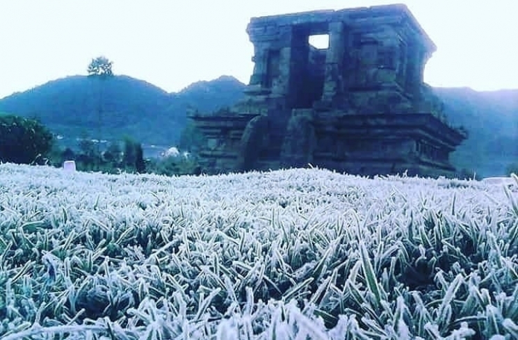 Dieng Membeku/Instagram @explorekendal