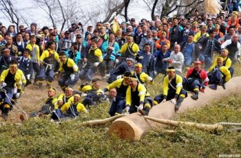 5 Potret Mengerikan Festival Onbashira di Jepang yang Menantang