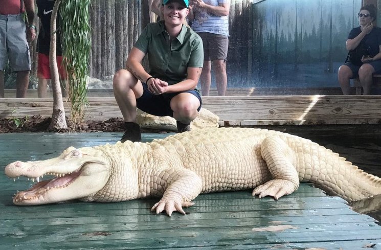 Gatorland di Orlando. (Instagram/@gatorland_orlando)