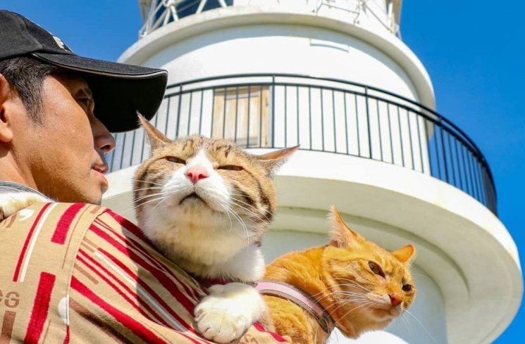 Kucing yang Hobi Traveling! (instagram.com/@the.traveling.cats/)