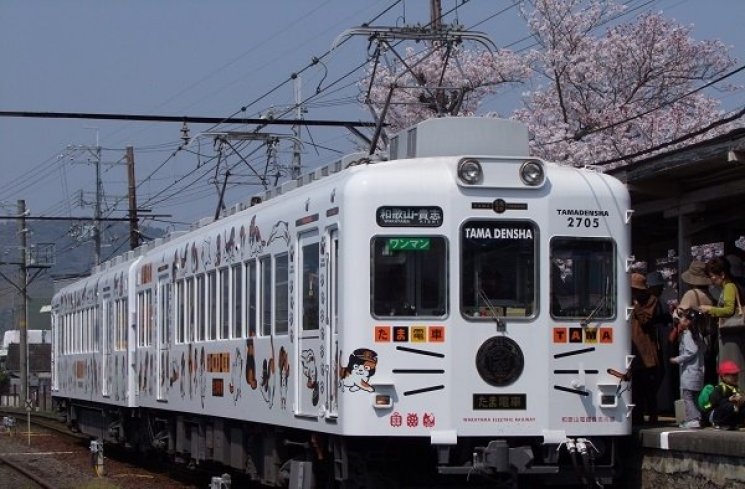 Kucing kepala stasiun di Jepang. (Wikipedia)