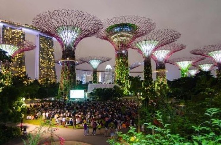 6 Taman Anti-Mainstream (gardensbythebay.com.sg)