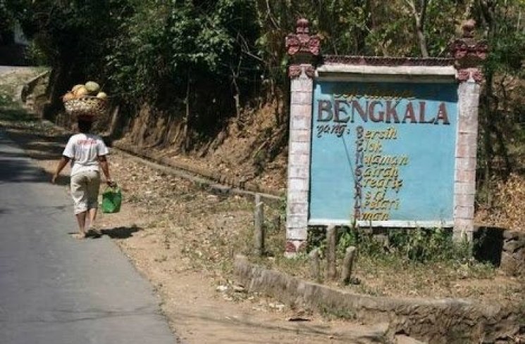 Desa Bengkala di Bali (http://desa-adat-bengkala.simplesite.com)