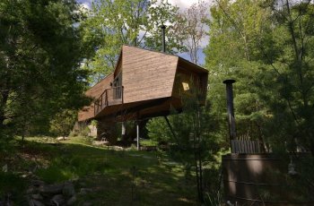Menikmati Hutan nan Asri di Rumah Pohon Willow Treehouse