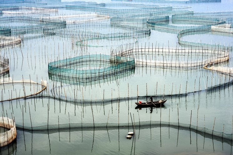 Xiapu Mudflat (trover.com)