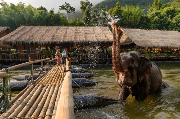 River Kwai Jungle Rafts Resort di Thailand (trip advisor)