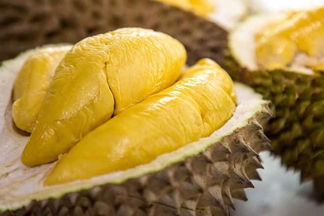 Durian (khrisnalearningcenter)