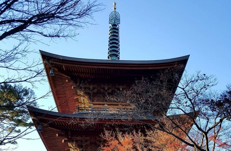 Kuil Gotokuji, Tempat Lahir Maneki-Neko (instagram.com/kooshkin99)