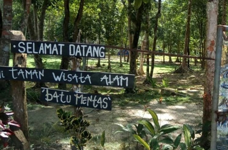 Bertemu Tarsius di Pulau Belitung (instagram.com/silvia.rita)