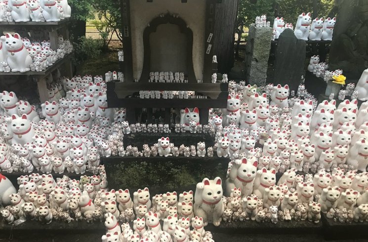 Kuil Gotokuji, Tempat Lahir Maneki-Neko (instagram.com/officialdanielleemarionn)