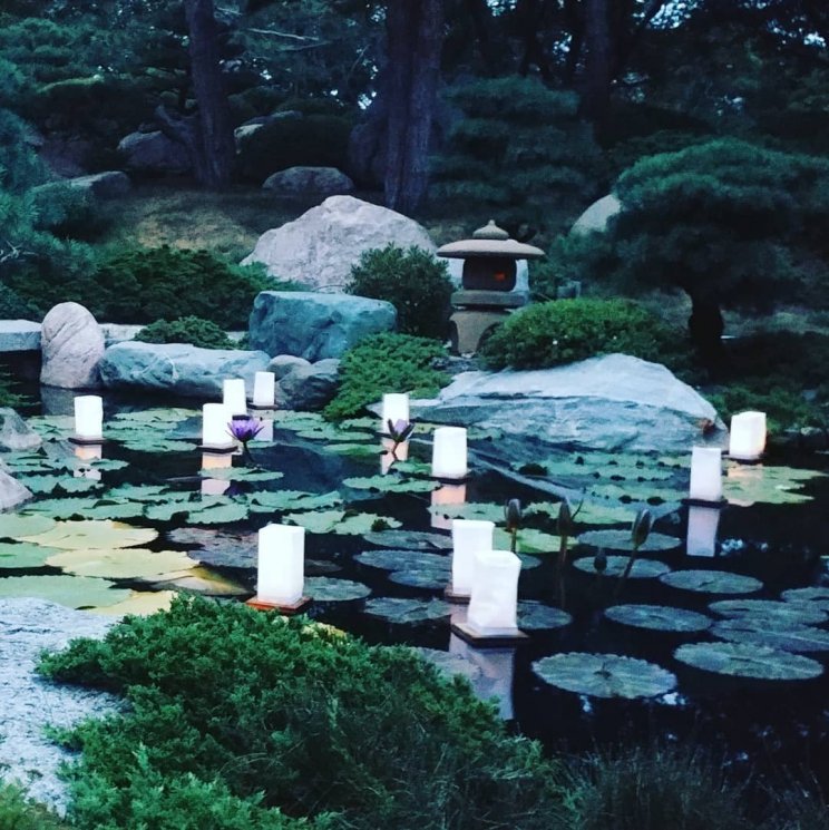 Festival Obon di Jepang. (Instagram/@ms.kay.m)