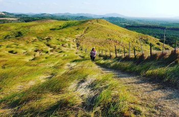 Bukit Teletubbies di Kubutambahan Bali. (Instagram/@shanastasiah)