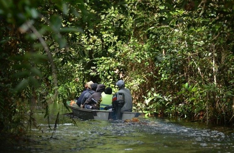 Wisata Air Hitam di Taman Nasional Sebangau (tnsebangau.com)