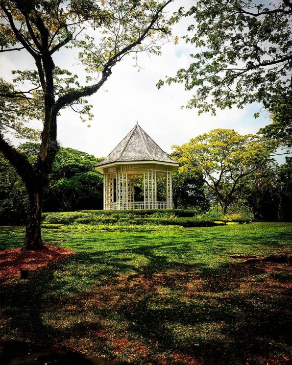 Singapore Botanic Garden di Singapura. (Instagram/@guidobalda)