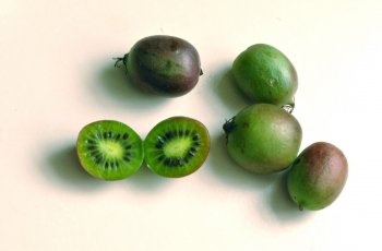 Buah Baby Kiwi Lagi Hits di Inggris, Seperti Apa Sih Rasanya?