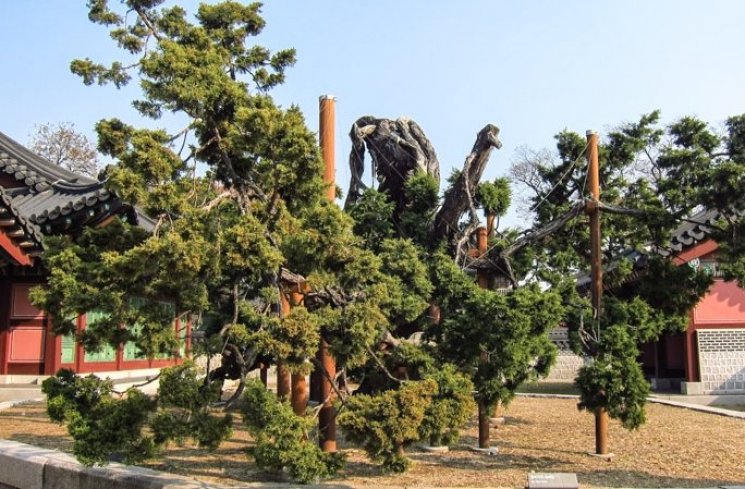 Kompleks Istana Changdeok (theseoulguide.com)