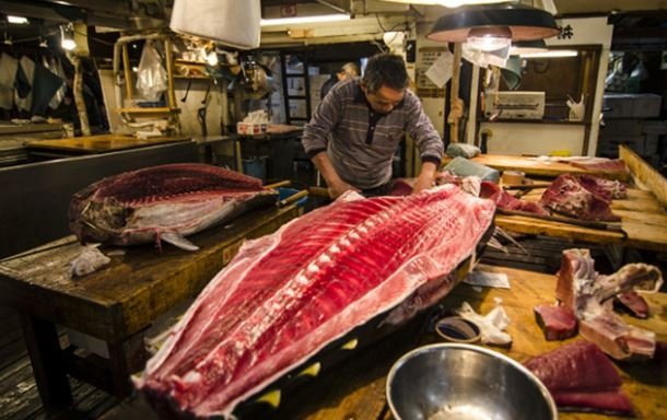 Pasar Tsukiji (Beauty of Japan)