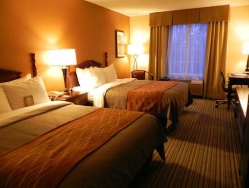 Ilustrasi kamar hotel (Trip Advisor)