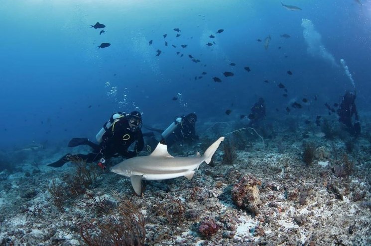 Pulau Morotai (instagram bubarabiru)