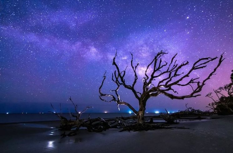 Pantai Driftwood, Jekyll Island (goldenisles.com)