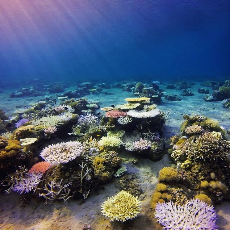 Pulau Moyo. (Instagram/@maulanaazz)
