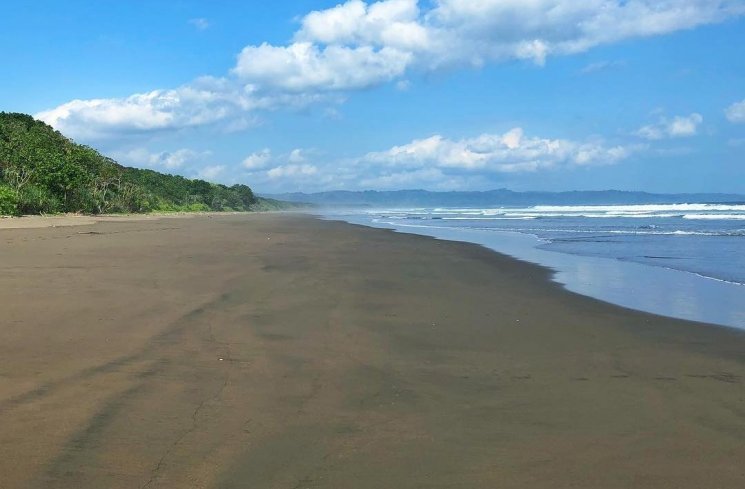 Penangkaran Penyu di Pantai Ngagelan (instagram.com/cutintanz)