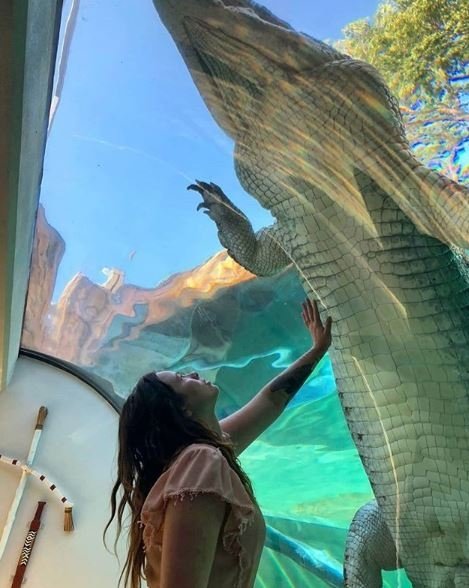 Crocosaurus Cove (Instagram Cameron Cusack Music)