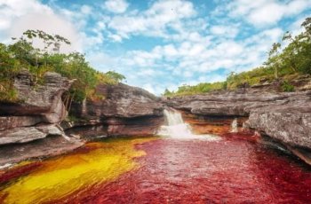 Cantiknya Sungai Lima Warna, Cano Cristales di Kolombia