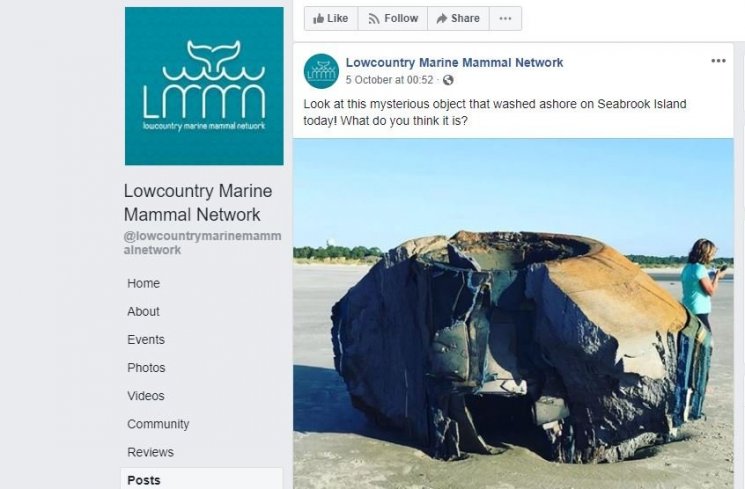 Objek Misterius di Pulau Seabrook (facebook.com/Lowcountry Marine Mammal Network)