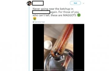 Ada Belatung Pada Saus di Restoran Cepat Saji, Jijik Banget