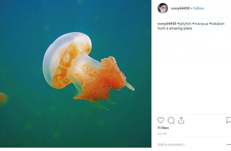 Danau Kakaban (instagram.com/romy64458)