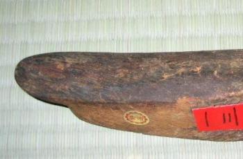 Katsuboshi (Wikimedia Commons Andy King50)