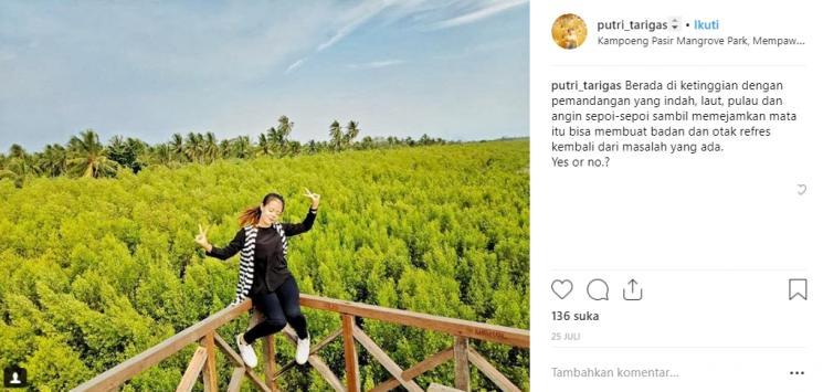 Mempawah Mangrove Park. (Instagram/@putri_tarigas)