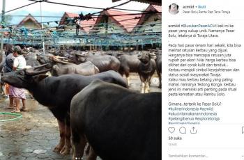 Pasar Bolu di Toraja. (Instagram/@acmiid)
