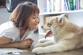 Anggun Bak Mona Lisa, Anjing Bakal Jadi Tokoh Utama di Museum Baru Ini