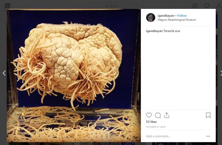 Museum menyeramkan di dunia. (instagram.com/igandbayan)