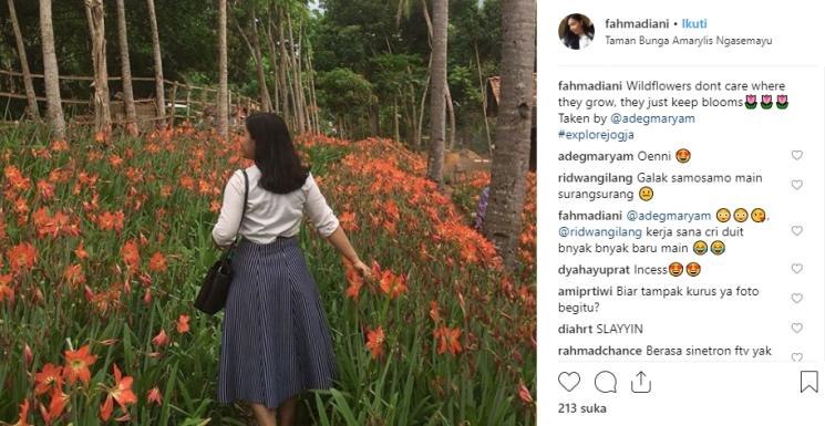 Taman Bunga Amarylis. (Instagram/@fahmadiani)