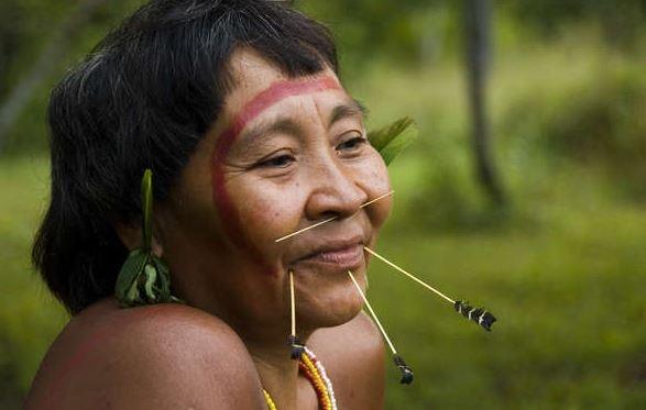 Yanomami (Survival International)