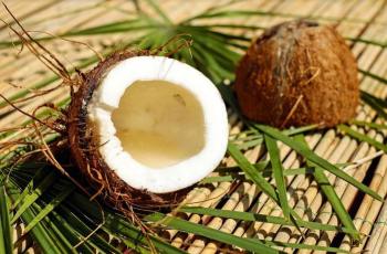 Kelapa Dilarang Dibawa ke Dalam Pesawat, Ini Alasannya