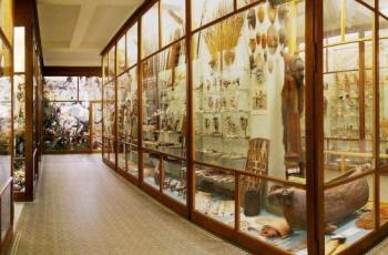 Missiemuseum Steyl, Museum Ingatan Para Misionaris di Belanda