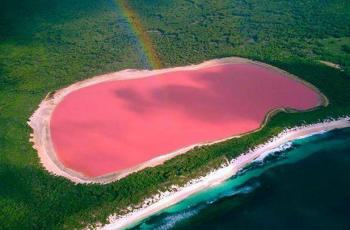 Cantik dan Misterius, Danau di Australia Ini Berwarna Pink, Kok Bisa?