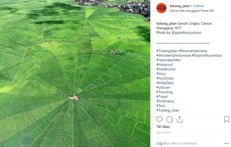 Sawah lingko (Instagram Tukang Jalan)