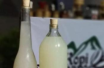 Pelepas Dahaga, Menikmati Segarnya Tuak Manis Khas Lombok