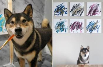 Gemas, Anjing Imut ini Bikin Lukisan Abstrak, Karyanya Juga Bisa Dibeli Lho