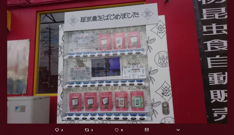 Vending Machine Serangga di Kumamoto (twitter.com/hinorj516)