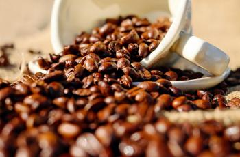 Per Cangkir Lebih dari Sejuta, Inilah Kopi Termahal di Dunia