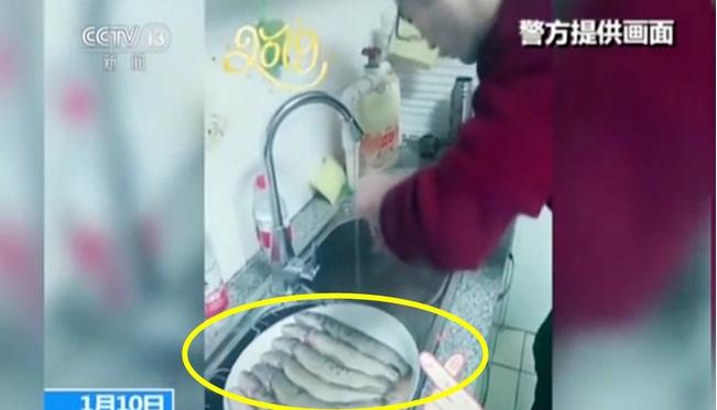 Video pasangan memasak jenis ikan yang dilindungi di China. (Feedytv)