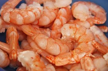 Waspada, Udang di Pasar Gemuk-gemuk, Pas Mau Digoreng Ternyata Isinya Ini